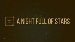 Online veiling, a night full of stars
